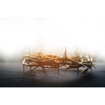 Couronne d'épines de Jésus - Photographie sur toile tendue