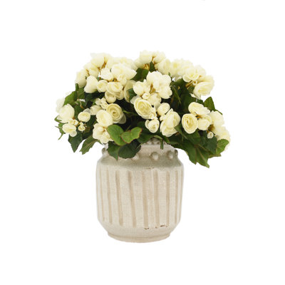Begonia Arrangement In Ceramic Vase