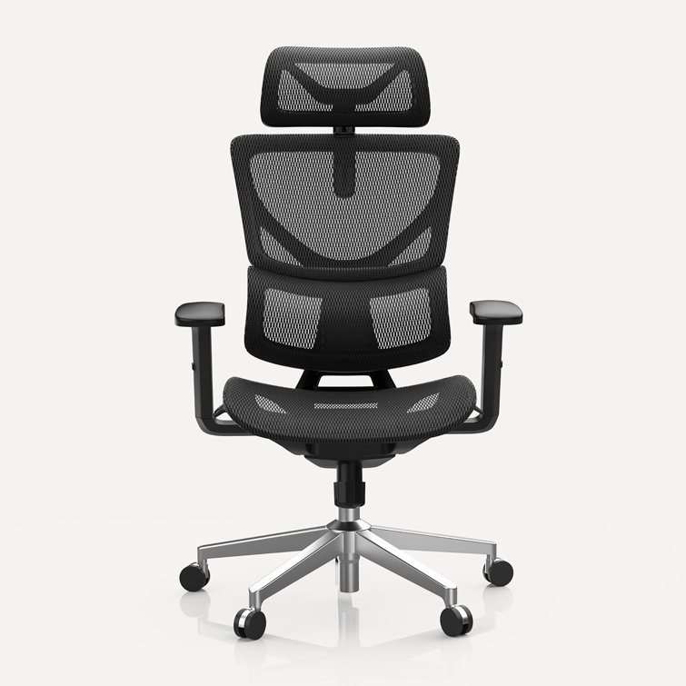 https://assets.wfcdn.com/im/93629675/resize-h755-w755%5Ecompr-r85/2555/255542531/Javarius+Ergonomic+Task+Chair+with+Headrest.jpg