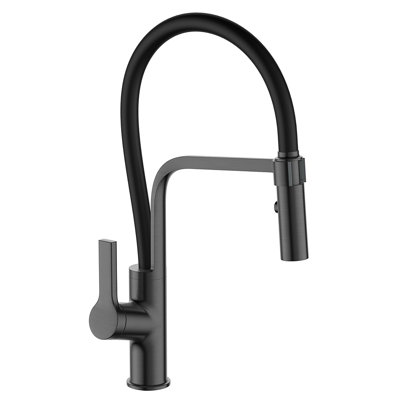 Belfry Kitchen Gabilan Pull Down Kitchen Faucet