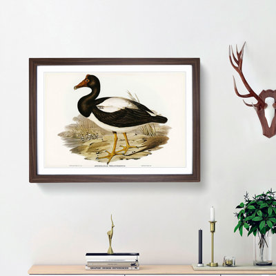 Semipalmated Goose by Elizabeth Gould - Picture Frame Painting Print