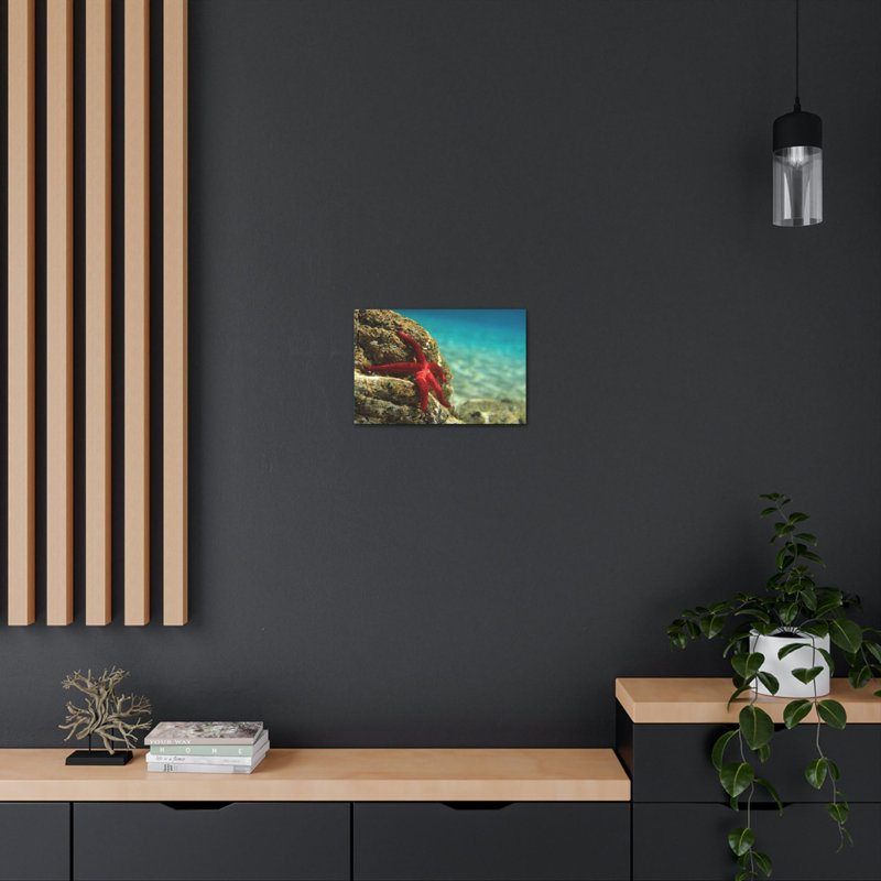 Étoile de mer, chasse, étoile de mer, chasse, reproduction, art mural, H 12 po x l 18 po