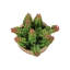 Plante artificielle
