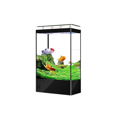 Grand aquarium moderne et minimaliste écologique