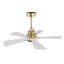 Ventilateur de plafond intérieur chaud 42 pouces avec lumière DEL à intensité variable, 5 pales en bois massif, télécommande, moteur à courant continu-1574479204-1574479201