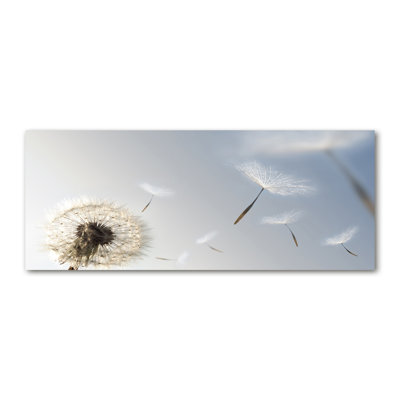 Dandelion - No Frame Print on Canvas