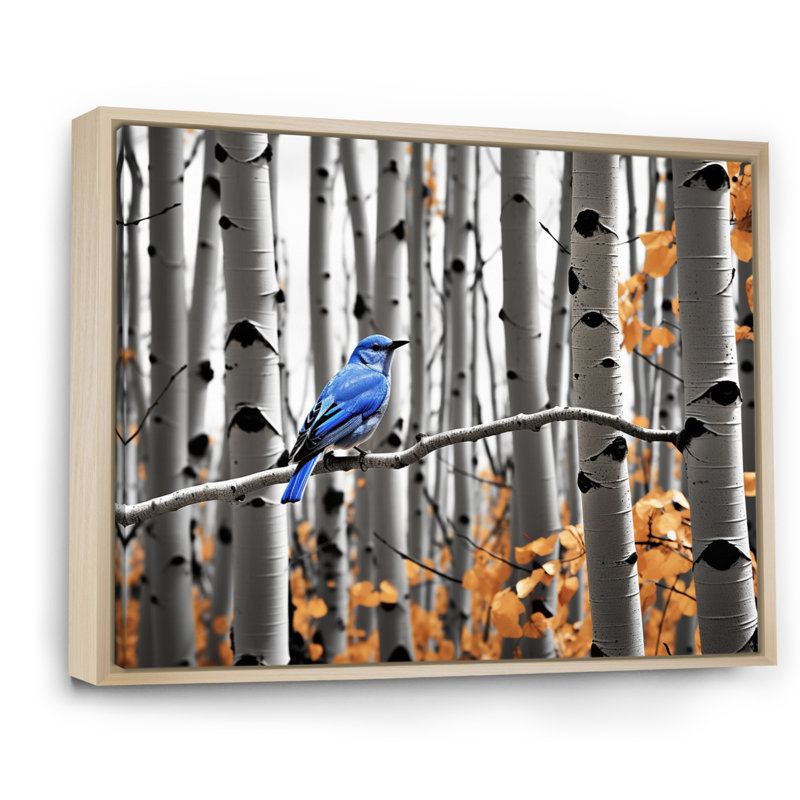Bjarmi - oiseau bleu gris en forêt II - impression, H 12 po x l 20 po x P 1 po, Cadre naturel flottant