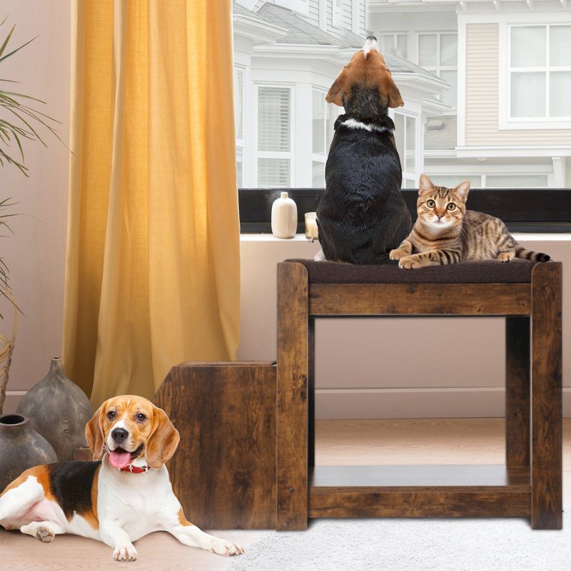 Lit superposé pour animaux de compagnie avec coussin et bloc-notes, marche amovible pour chiens et chats, intérieur, marche plateforme, solide à plusieurs niveaux