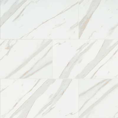 Astoria Vena 12 in. x 24 in. Matte Porcelain Floor and Wall Tile