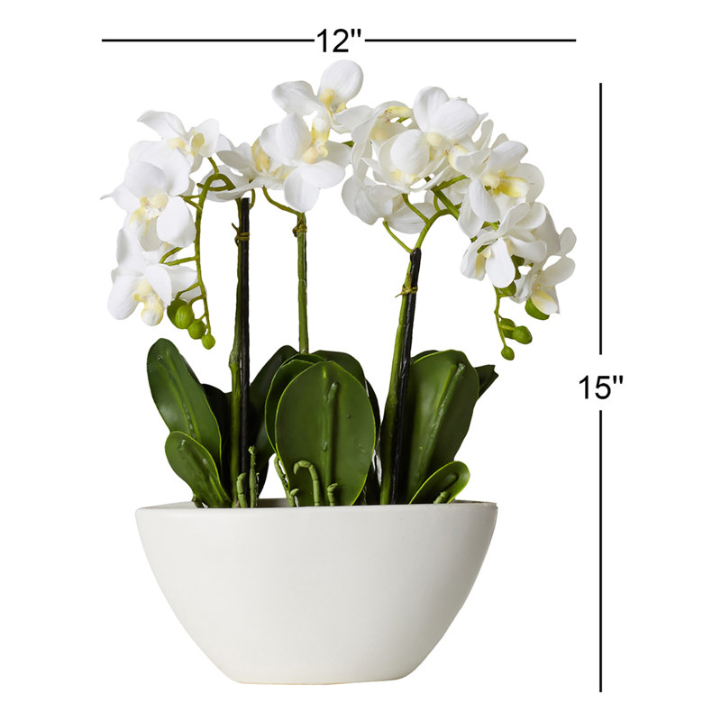 Centre de table orchidée en pot