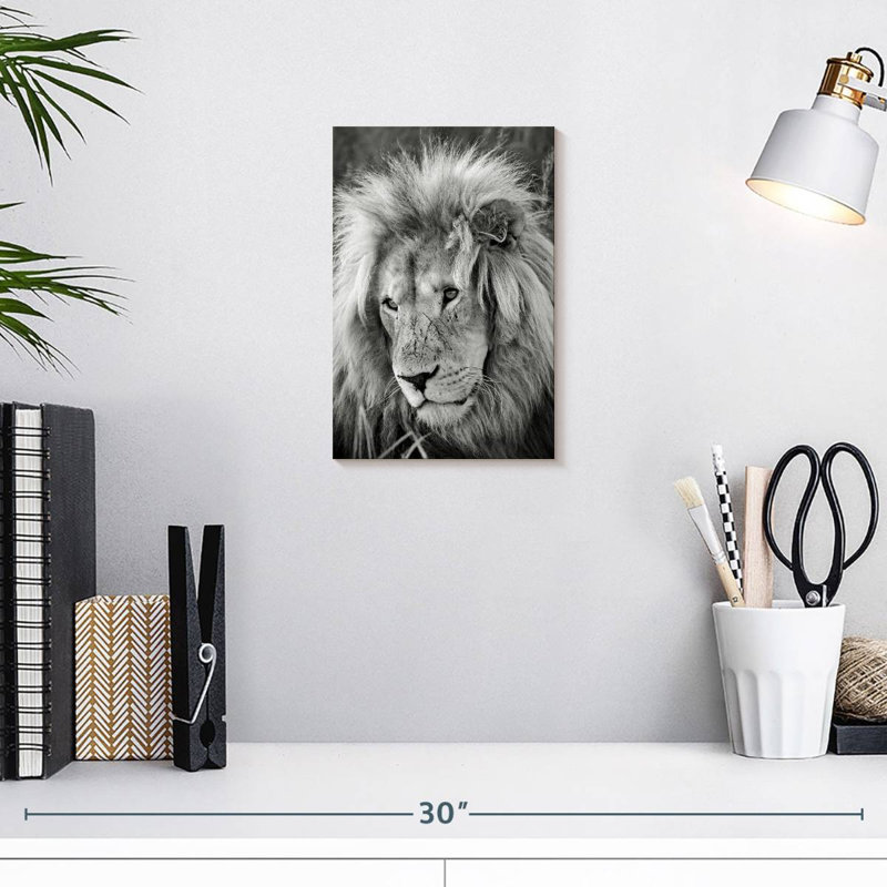 Brampt Lion Male I, 12" H x 8" W