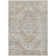Oriental Indoor Rug