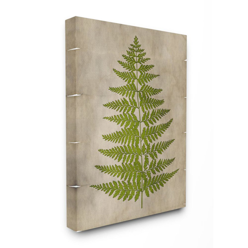« plante green parchemin », impression, Toile tendue, H 24 po x l 30 po x P 1,5 po