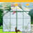 8X10FT Walk-in Greenhouse, Portable Pop-up Greenhouse for Indoor Outdoor, Plant Garden Green House with Zippered Doors-117549016
