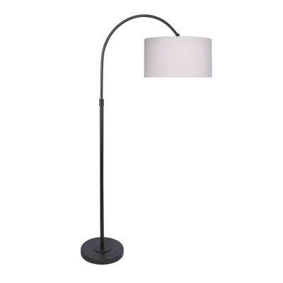 Snaresbrook 63.5'' Arched Floor Lamp