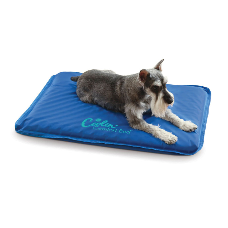 Brahin Paisley Orthopedic Memory Foam Pet Bed, Small (17" W x 24" D x 1.5" H)