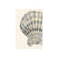 Piece From The Sea IV Print by Guseul Park-26946639-26946640