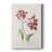 Two Tulips II -Gallery Wrapped Cavas-1763078335