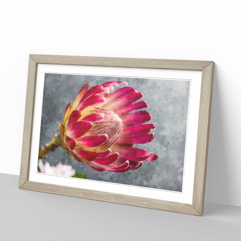 Pink Protea Flower - Framed Print, 48cm H x 65cm W x 2cm D, Oak Framed