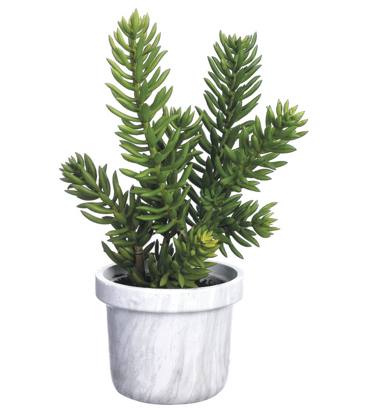 21'' Faux Foliage Plant in Terracotta Pot