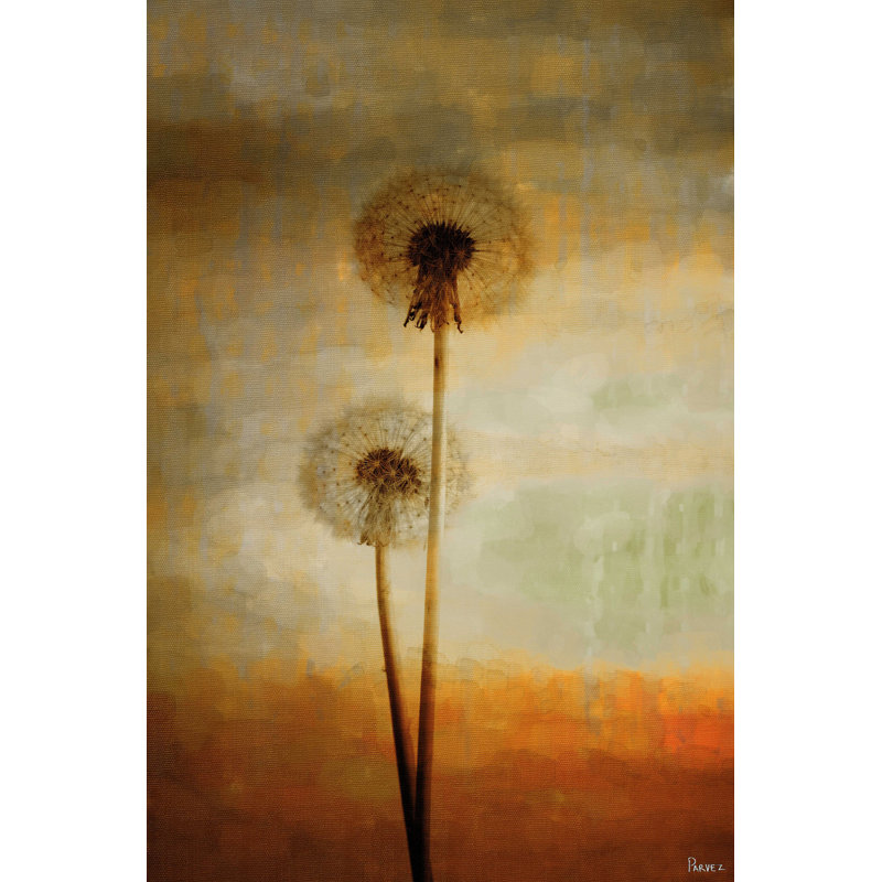 Parvez Taj - Wrapped Canvas Print, 61cm H x 41cm W x 5cm D