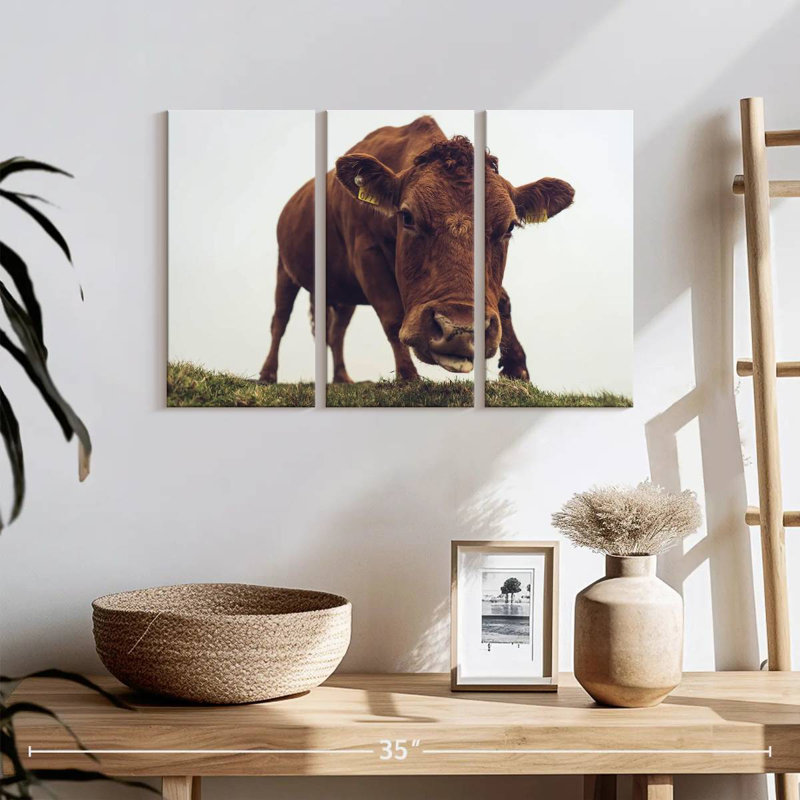 Brampt Chocolate Cow Face, 24" H x 38" W