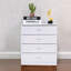 66 cm W Chest of 4 Drawers-2052853463