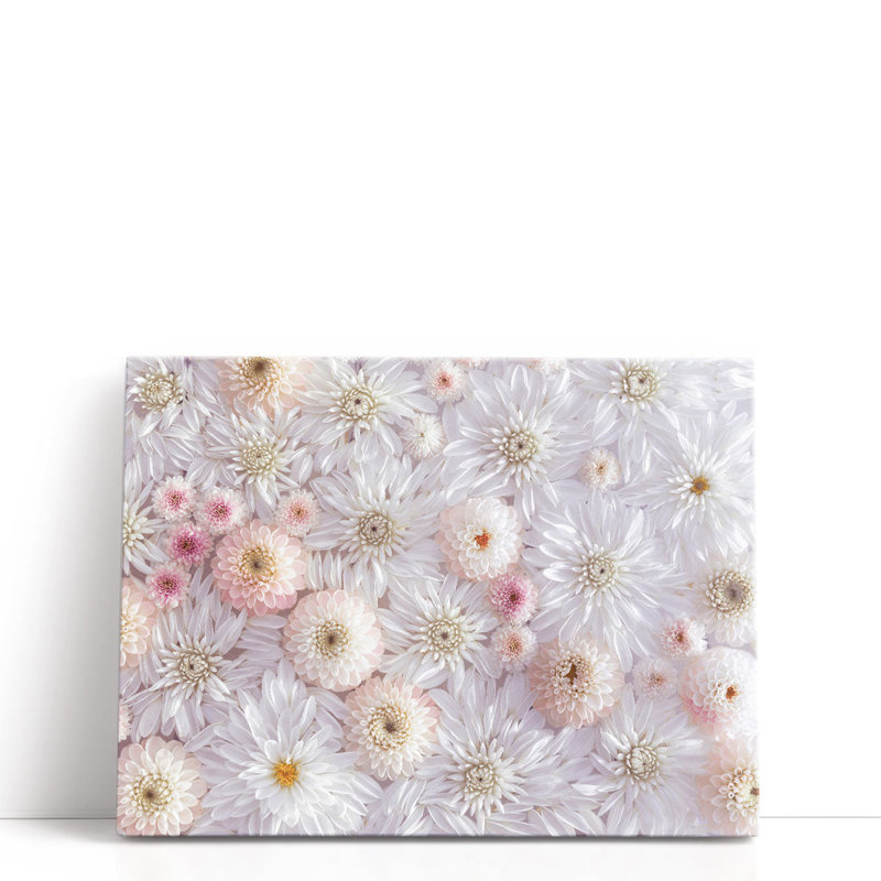 «Full Frame Of Dahlia Flowers», reproduction d'art sur toile, H 12 po x l 16 po