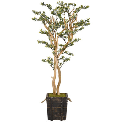 Arbre de sol en forme de sedum copaining
