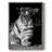 Tiger Repose Framed Print - Solid Wood