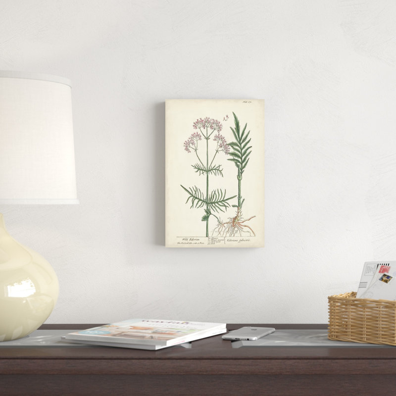 Herbes antiques I, H 12 po x l 8 po