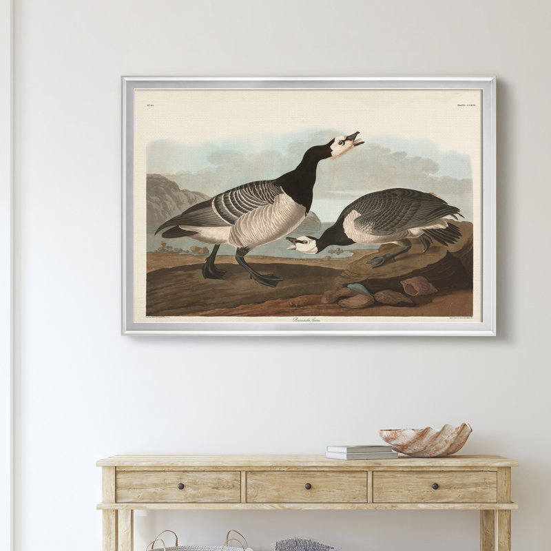 Barnacle Goose - reproduction d'art sur toile, Argent, H 22,5 po x l 30,5 po x P 1,5 po
