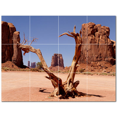 Canyon photo 8 x 8