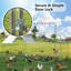 Adriell Walk In Chicken Run-905974994