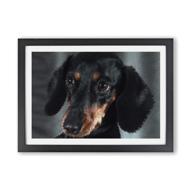 Portrait of a Dachshund Dog - Framed Print, Black, 24cm H x 33cm W x 2cm D