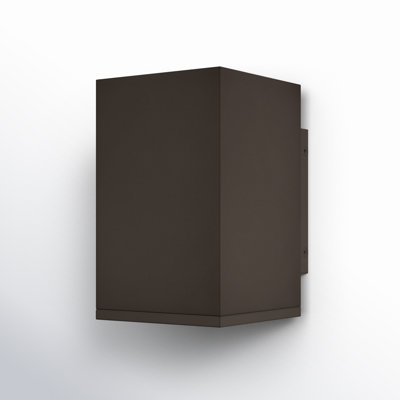 Indrani Single Light Outdoor Wall Light