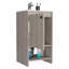 Meuble-lavabo Jane, armoire à une porte, deux tablettes - gris clair-167609903