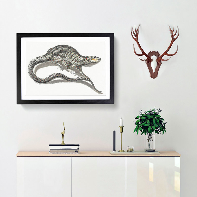 A Lizard by Johan Teyler - Framed Print, 35cm H x 50cm W x 2cm D, Black