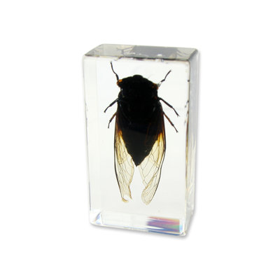Queener Animals Figurines & Sculptures