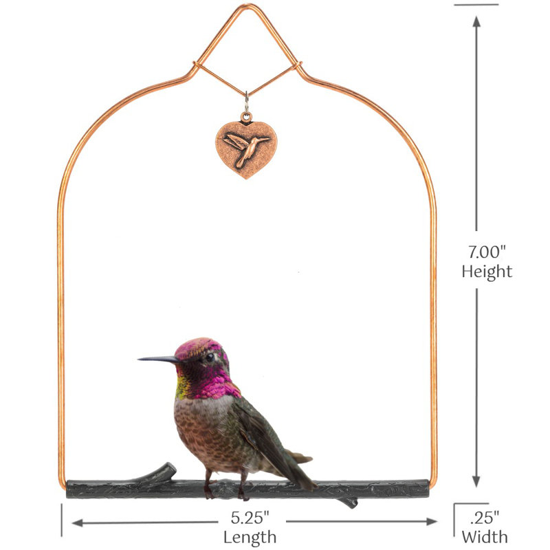 Balançoire colibri en cuivre Alyis, Perchoir noir rustique