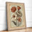 Studies Botanical - Framed Print-951544466-951544468