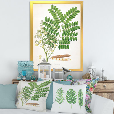 Vintage Botanicals VII - peinture sur toile