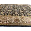 Oriental Area Rug in Black