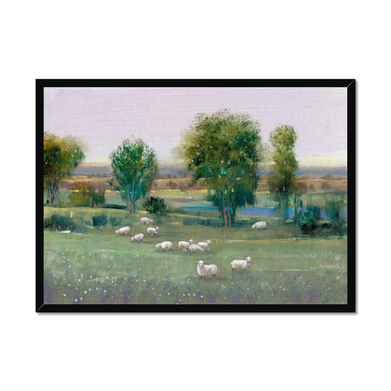 Field Of Sheep I by Timothy O' Toole - Painting, 34cm H x 50cm W, Black Framed Paper Print