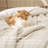 New Arrivals Bedsure Quilted Comforter Sets, Luxury Soft Bed in a Bag-119313691-119313690