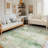 Ultra-Soft Puffy Shaggy Rug Modern Abstract Oil Painting Style Design Machine Washable & Foldable Printed Rug Suitable for Living Room, Bedroom, Bedside, Office Indoor Rug-272716521