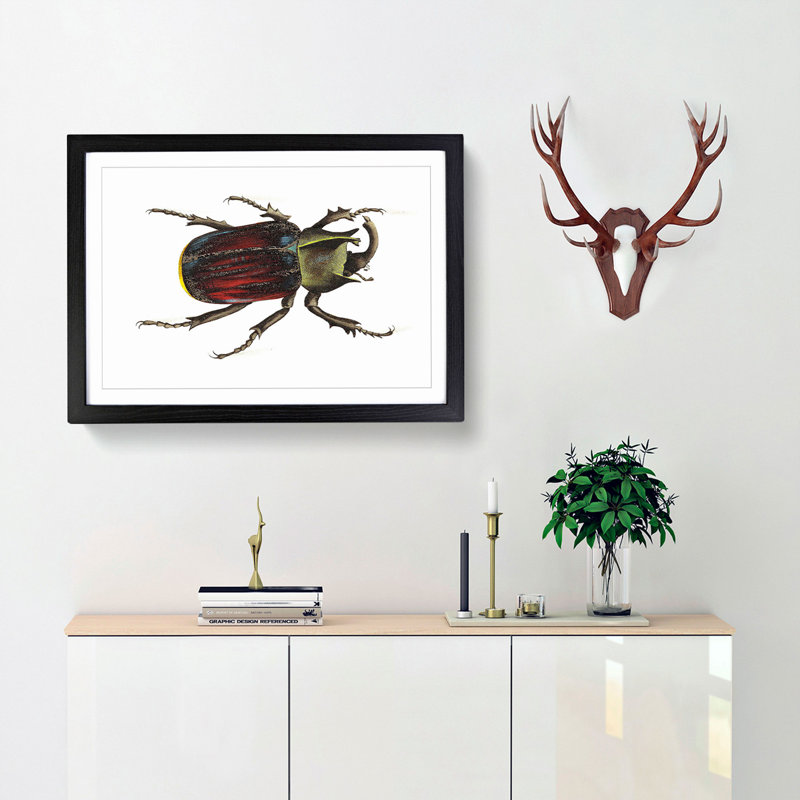 Typhon Beetle by George Shaw - Framed Print, Black Framed, 36cm H x 48cm W x 2cm D