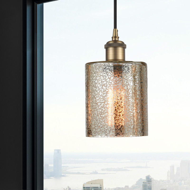 Luminaire suspendu en dôme à 1 lumière Willamette, Ampoule non incluse, Laiton brossé, Mercurisé