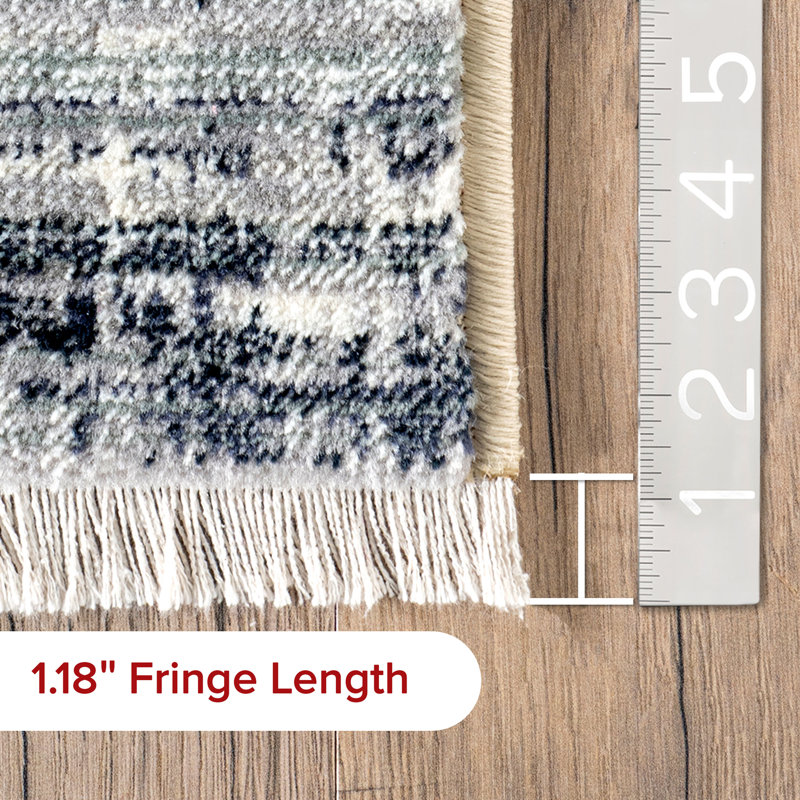 Vanita Transitional Southwestern Fringe Area Rug, Runner 2'6" x 13'