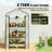 Mini Greenhouse with Screen Roof, Portable Small Greenhouse, White-123764094-124526371